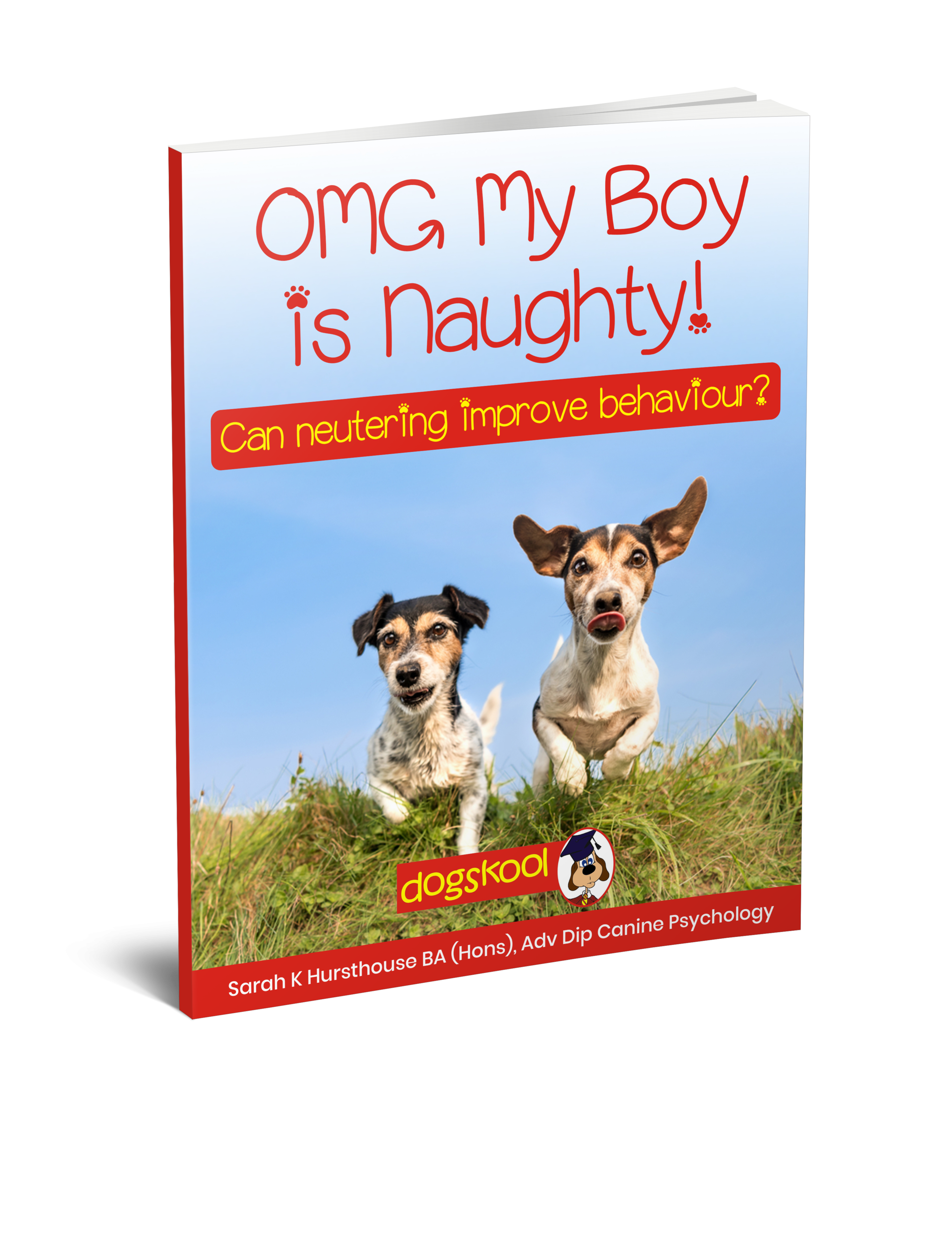 OMG My Boy is naughty 3D cover