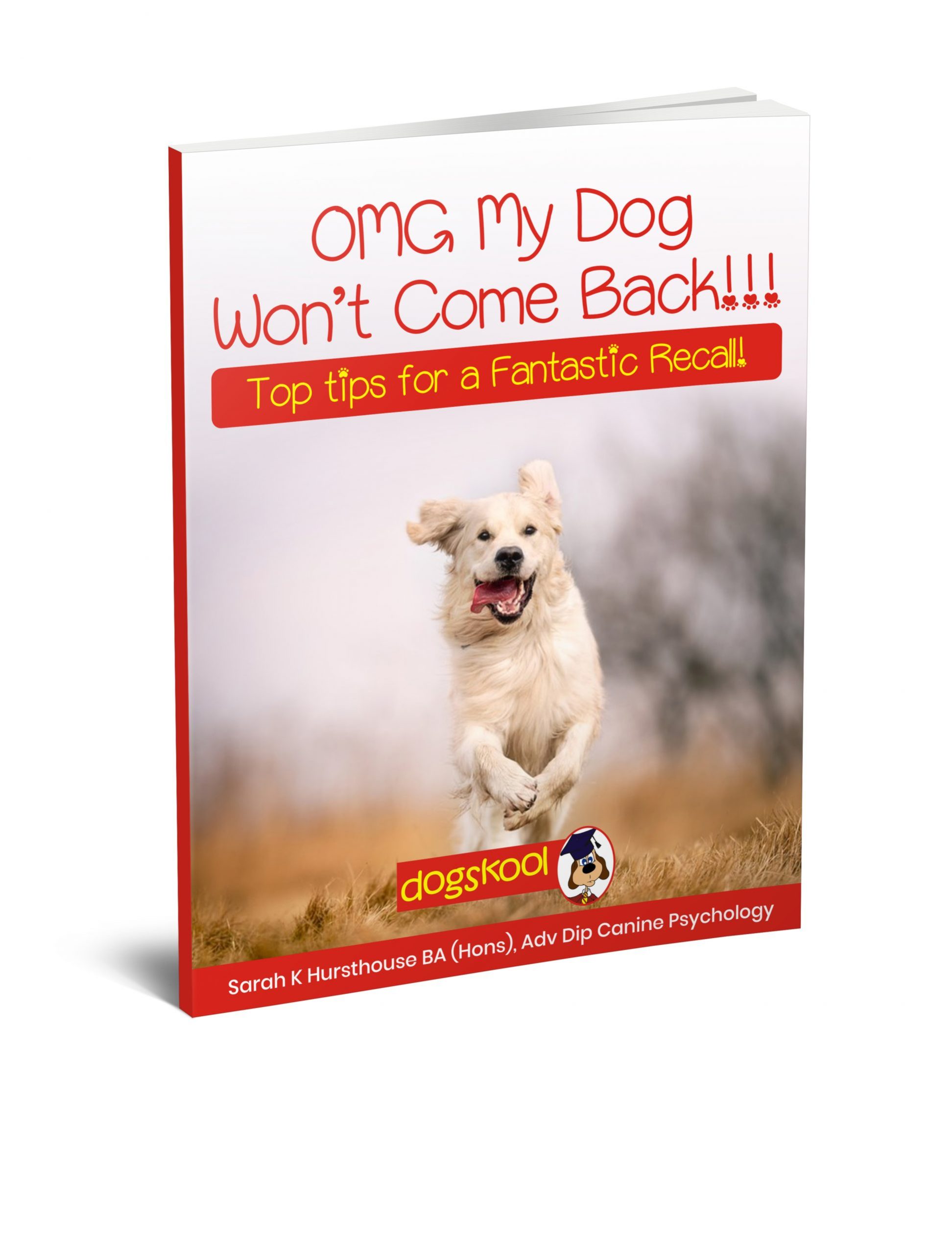 OMG My Dog Won't Come Back 3D cover jpg